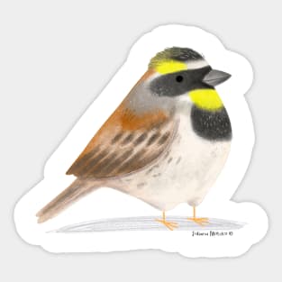 Yellow Throated Bunting Bird Sticker